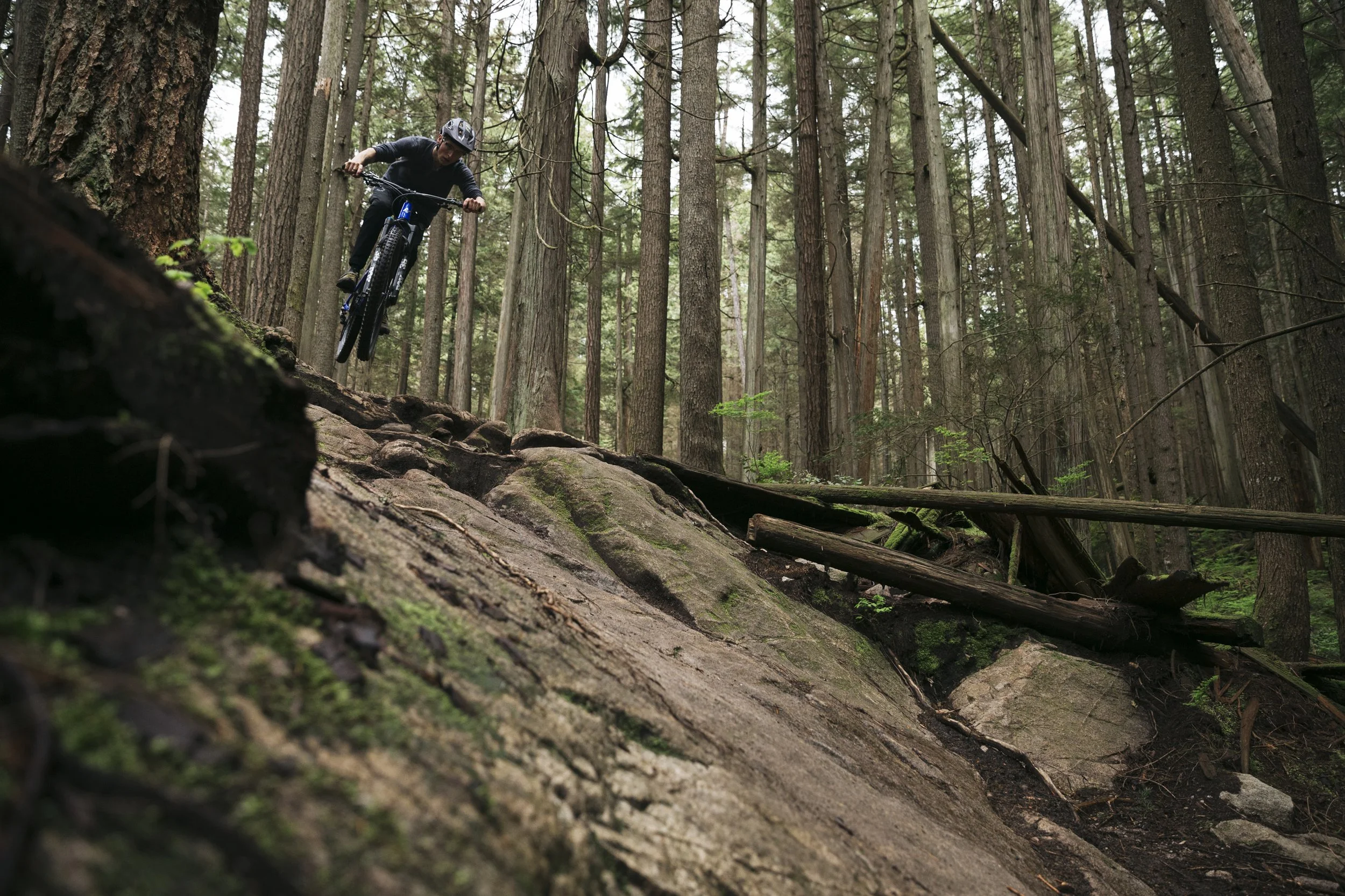 Jack_Norco_Optic_10.JPG