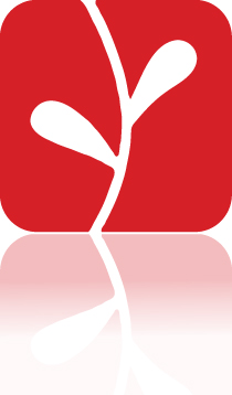 Verity Leaf (Reflect).jpg
