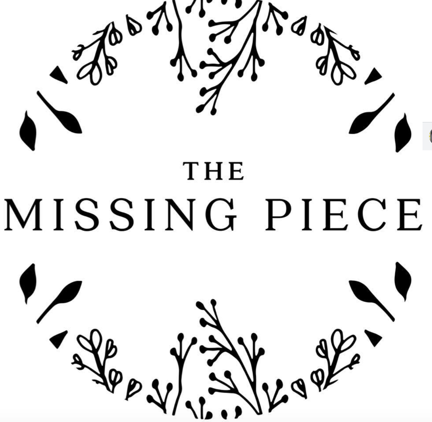 THE MISSING PIECE