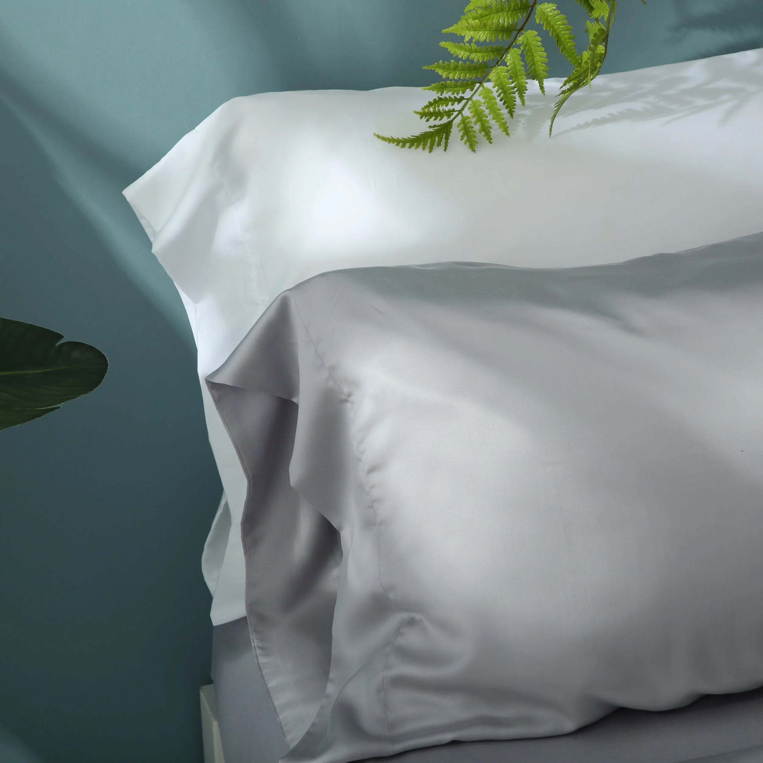 DCS01-TG-PillowView_02.JPG