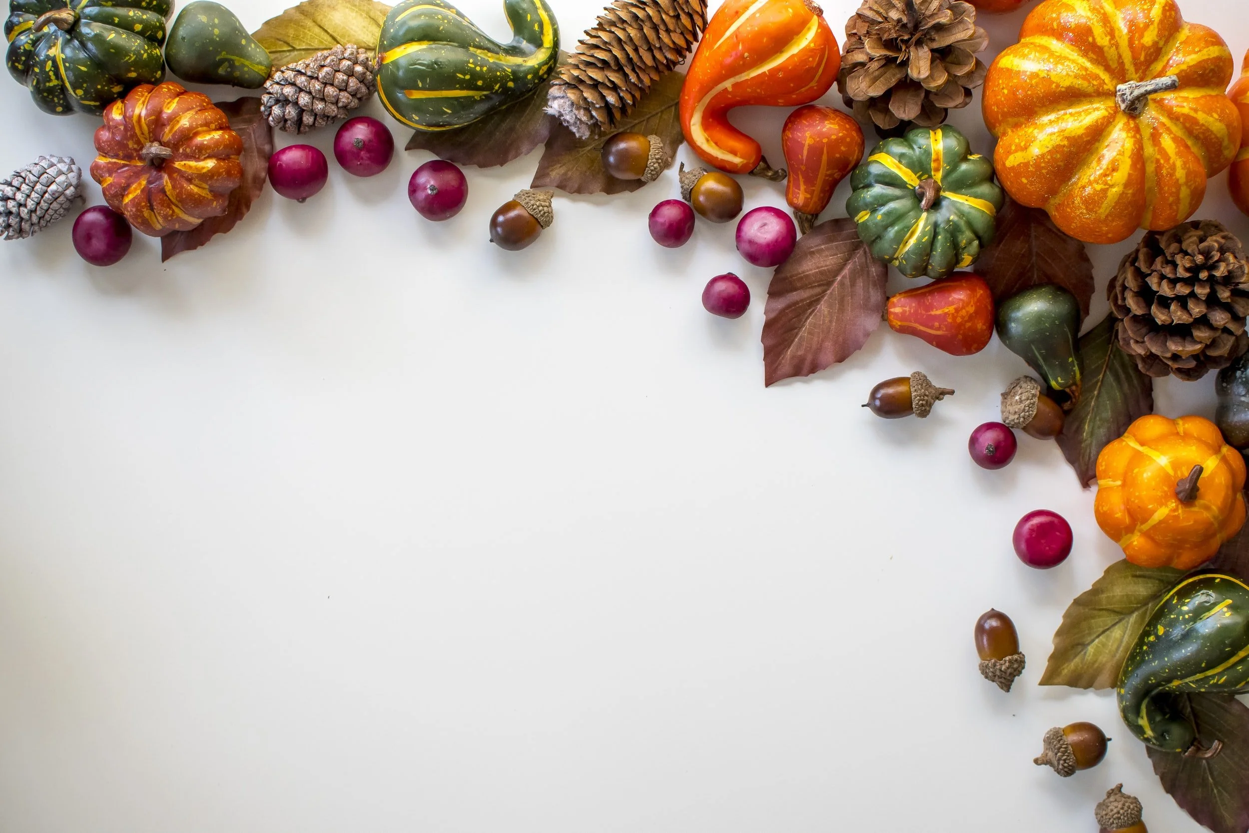 Harvest Celebration