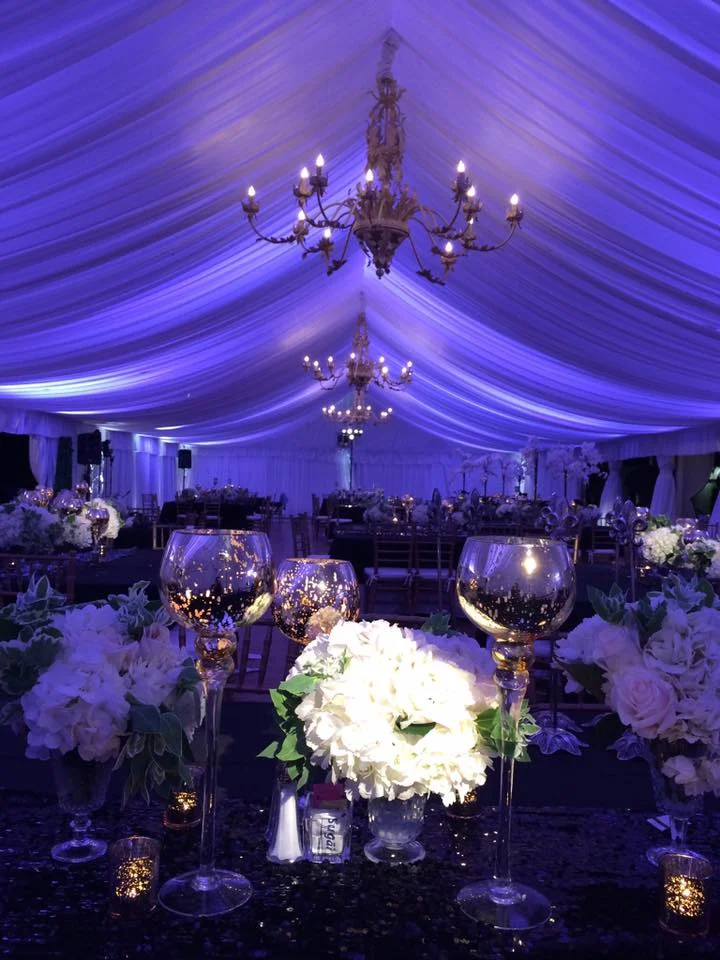 purple tent with pinspot.jpg