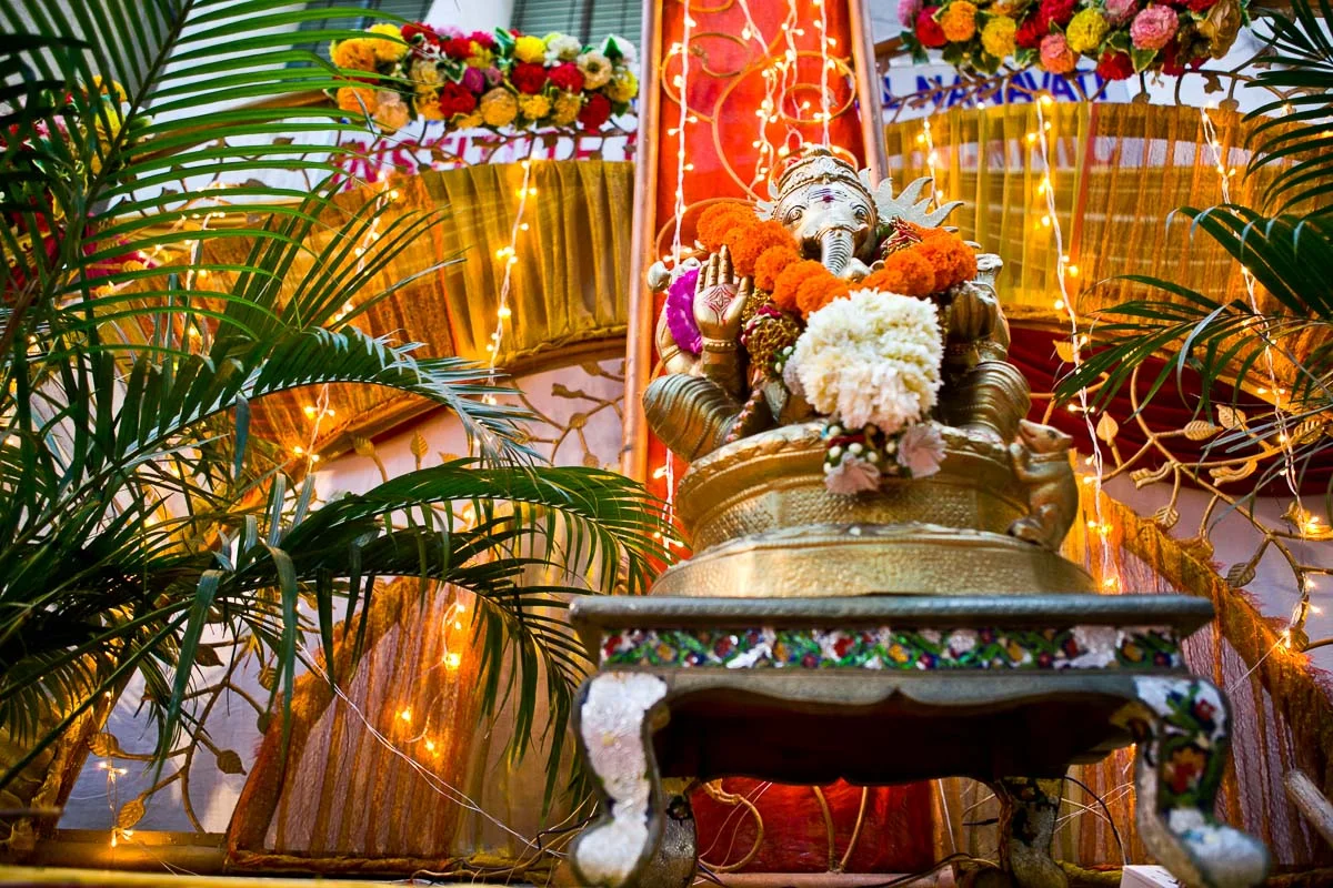 Nirvikalpa & Venkat-291.jpg