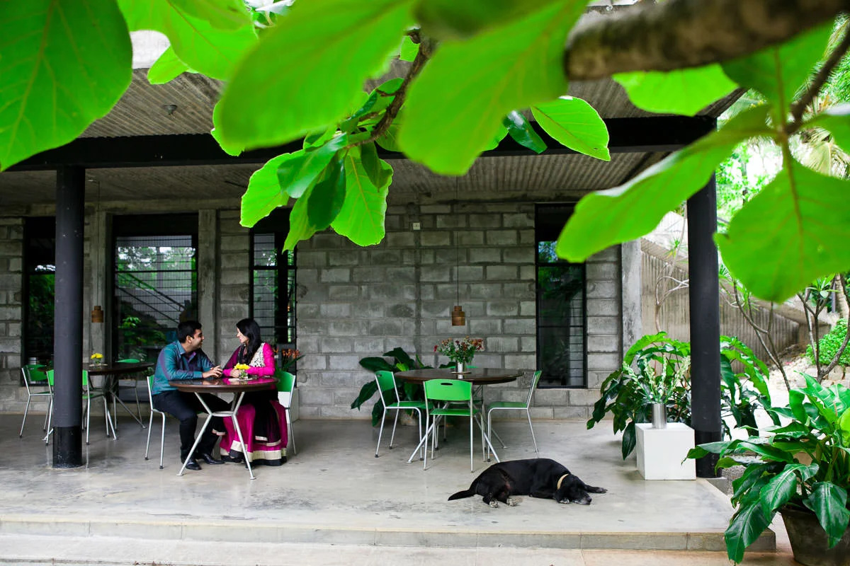 Sharing a quiet moment. Grasshopper, Bangalore