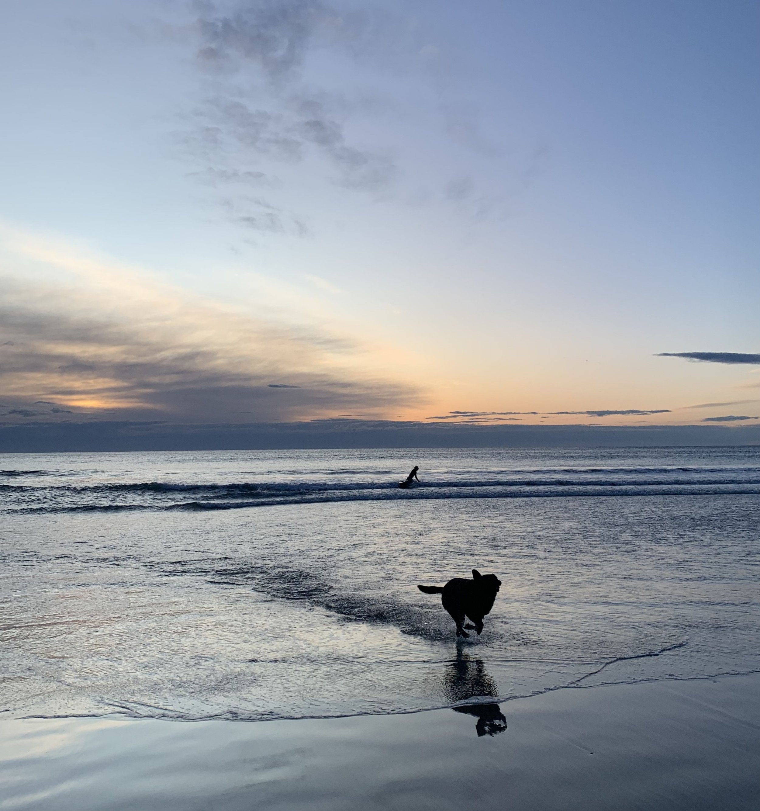 Nearby Ocean Beach