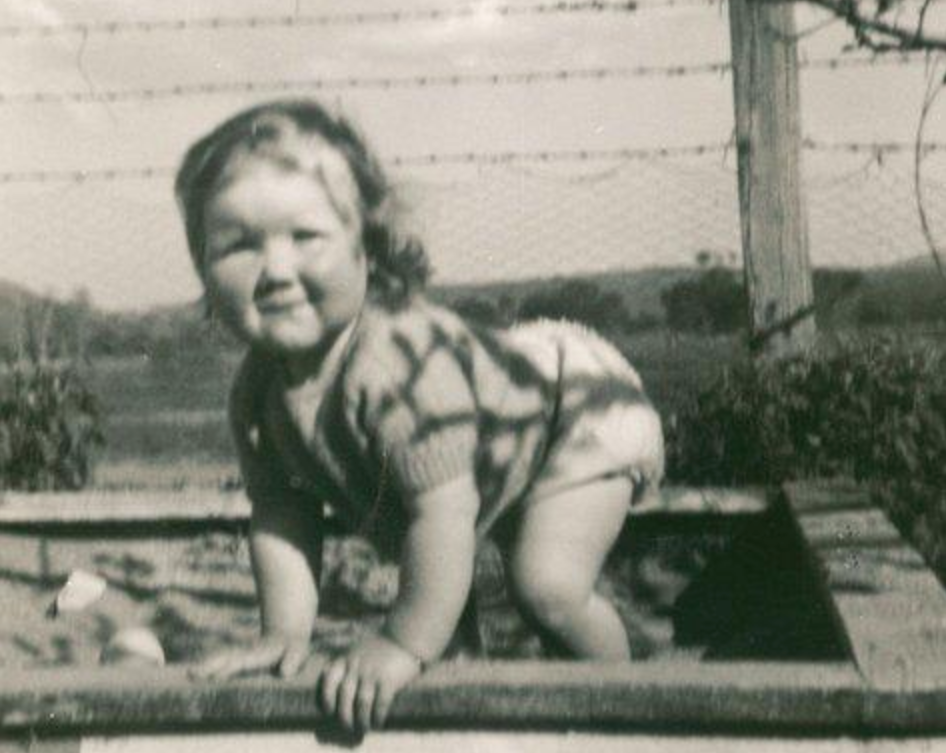 Screen Shot 2017-06-26 at 2.19.22 PM.png