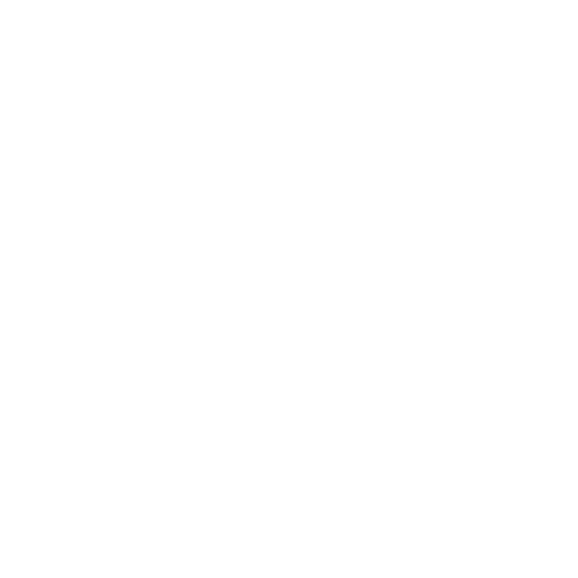 noun_869744_cc(1).png