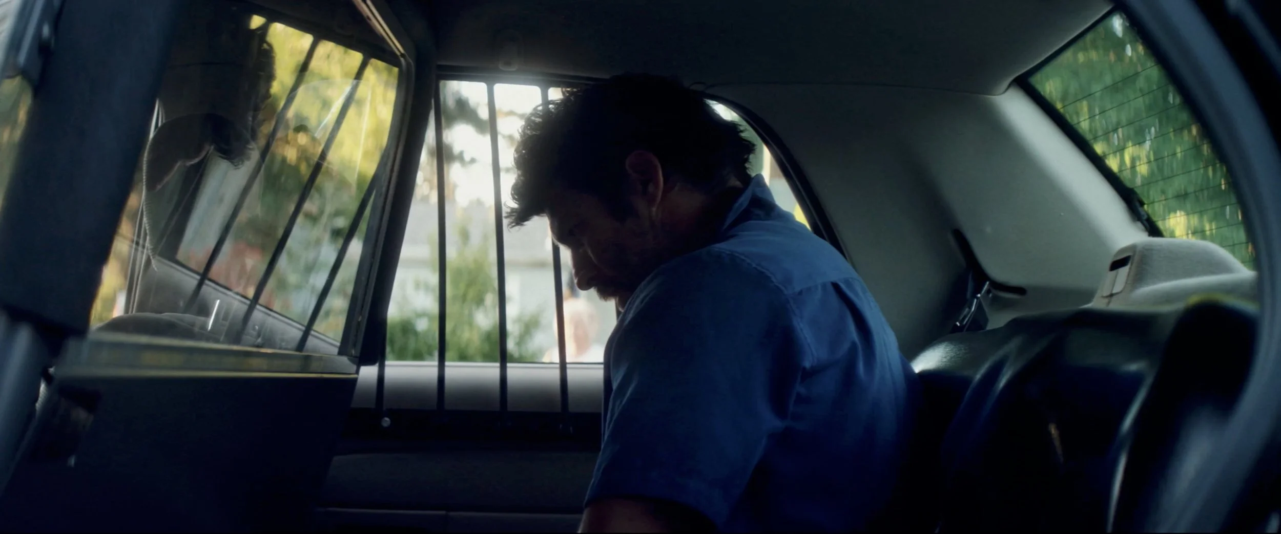 Goodbye Roses thumbnail.jpg