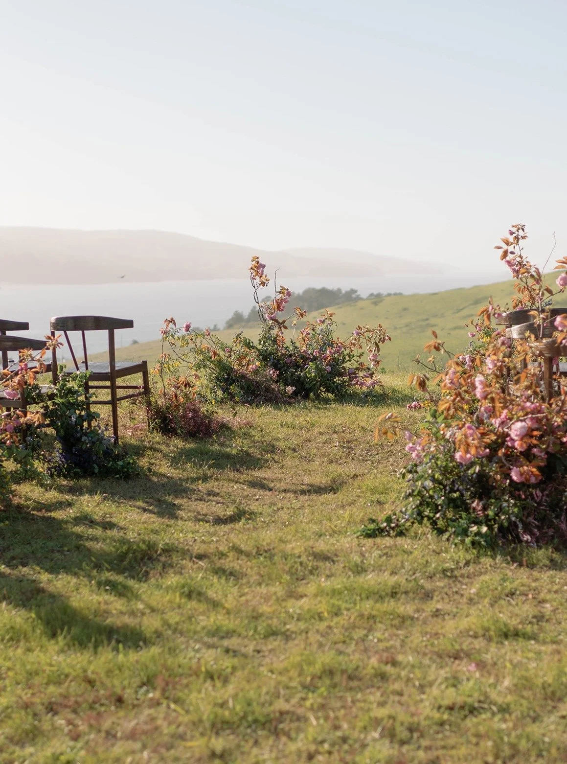 The wedding ceremony, adorned with cherry blossoms overlooking Tomales Bay &mdash;

@amandapoolphoto @amriandco @ashandoakfloral @linenandpoppi @marisaperel @unveiledbridalsf @theonicollection @foundrentalco @lodgeatmarconi @jessiehgold @staubrob

#w