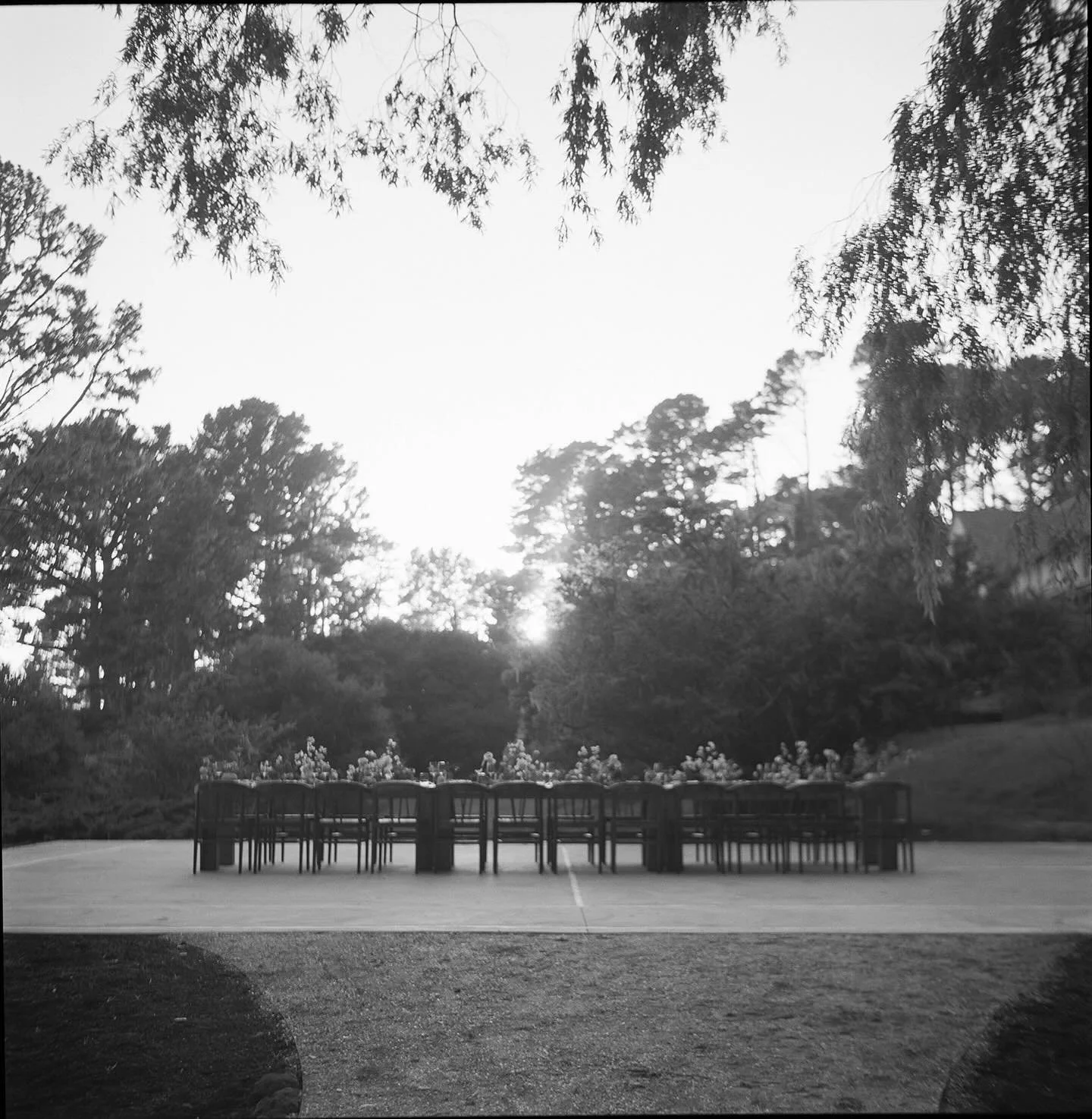 Spring wedding inspiration in black &amp; white. I loved designing a bespoke invitation suite and menus that complimented the floral beauty and earthy textures &mdash; 

@amriandco @amandapoolphoto @ashandoakfloral @linenandpoppi @lodgeatmarconi @mar