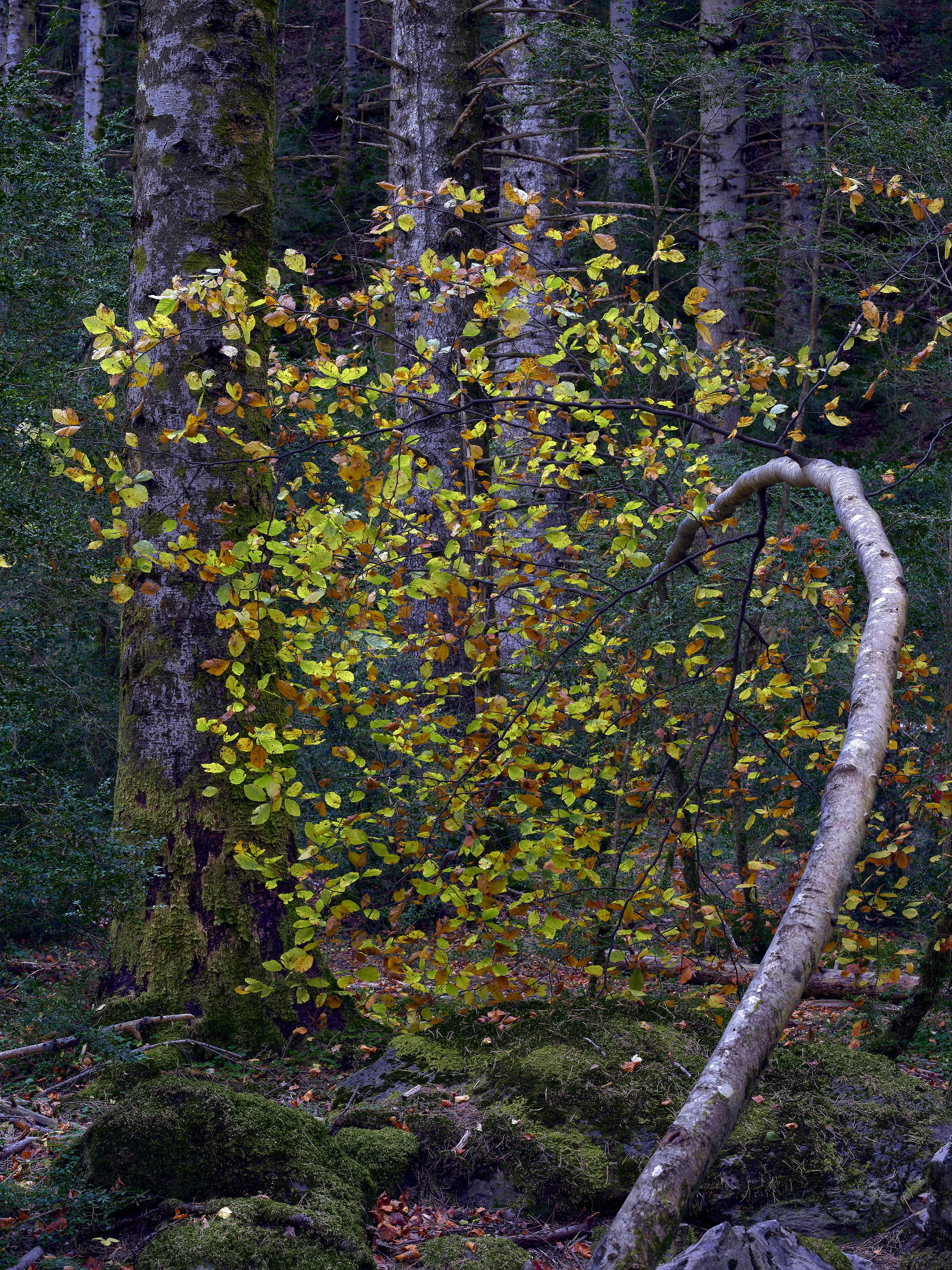 _IMG3027 5.jpg