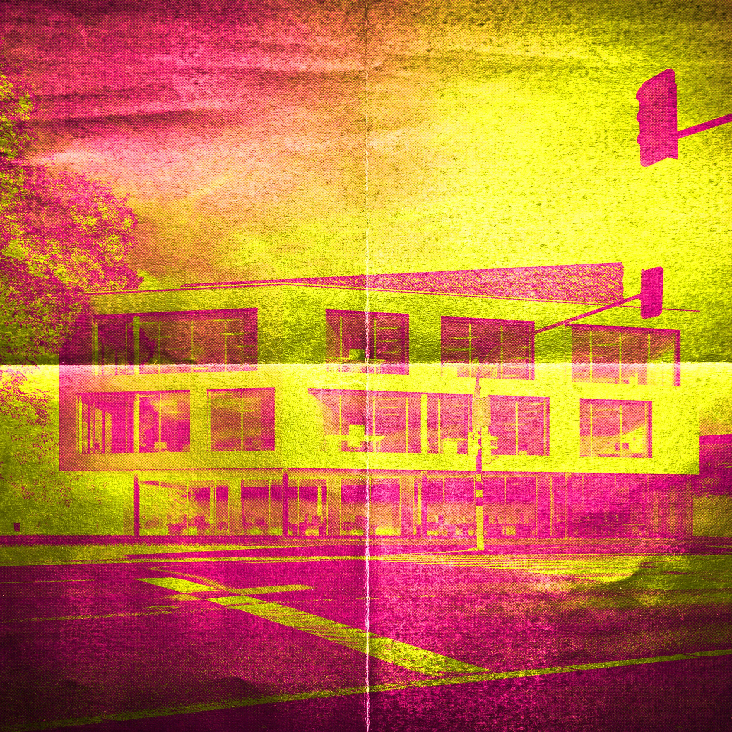 195.jpg
