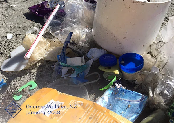 Future-Blue-–-Pick-up-trash-–-Landscape_Small_2.jpg
