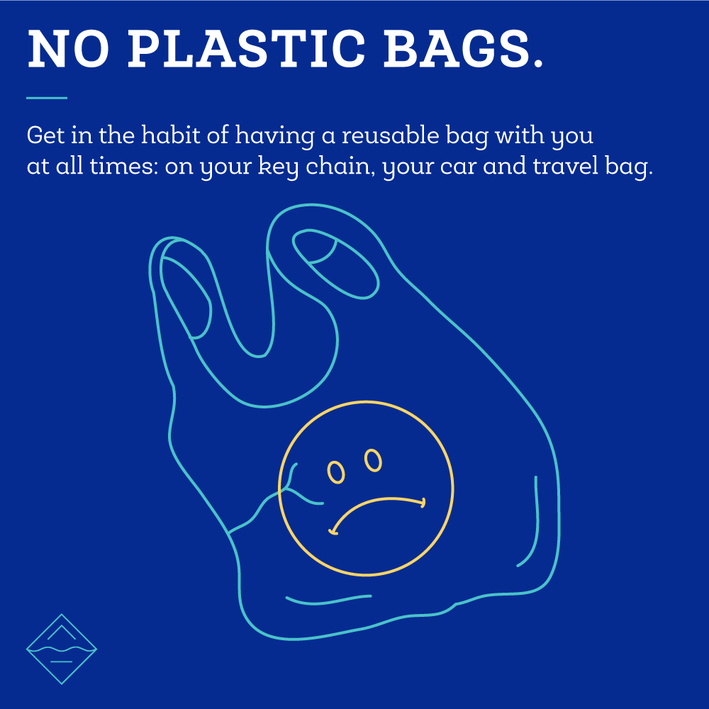   Absolutely no plastic bags.  Break the automatic habit of being given them. Say no! Take your own bags and pack extra bags. No excuses, you don't need them. 