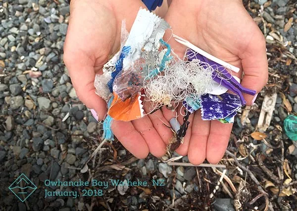 Future-Blue-Pick-up-trash-Owhanake-Bay.jpg