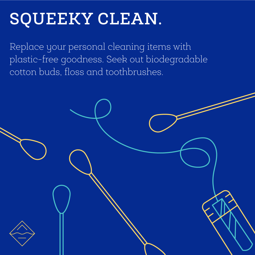 Cut-Back-on-Plastic-Future-Blue_squeeky-clean.jpg