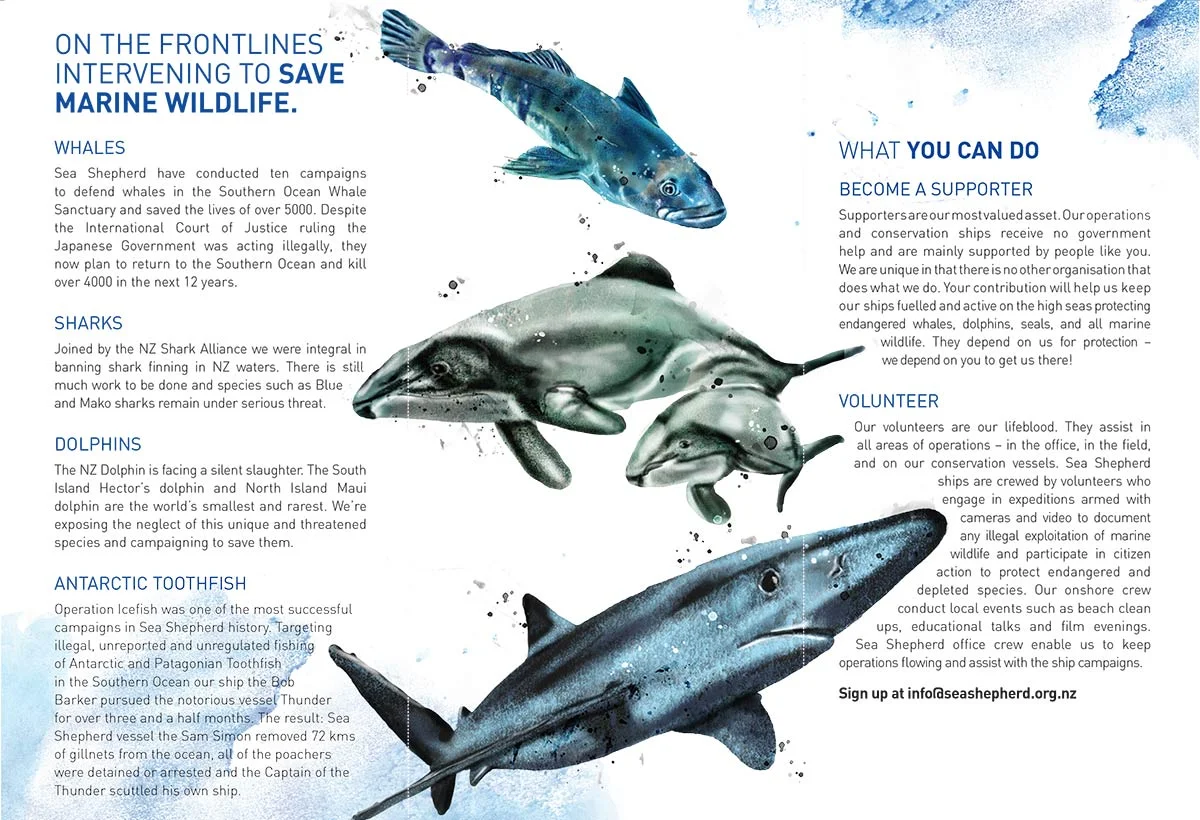Future-Blue-Art-Director-Sea-Shepherd_3.jpg