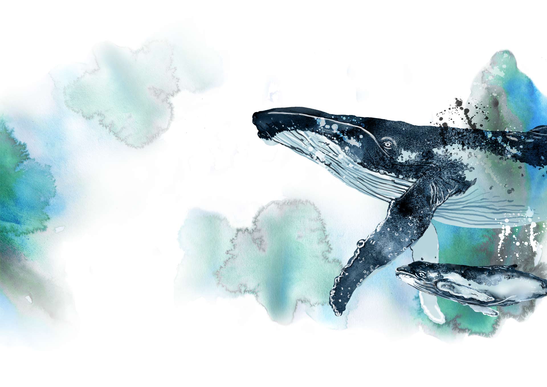 Main-image_whale_3.jpg