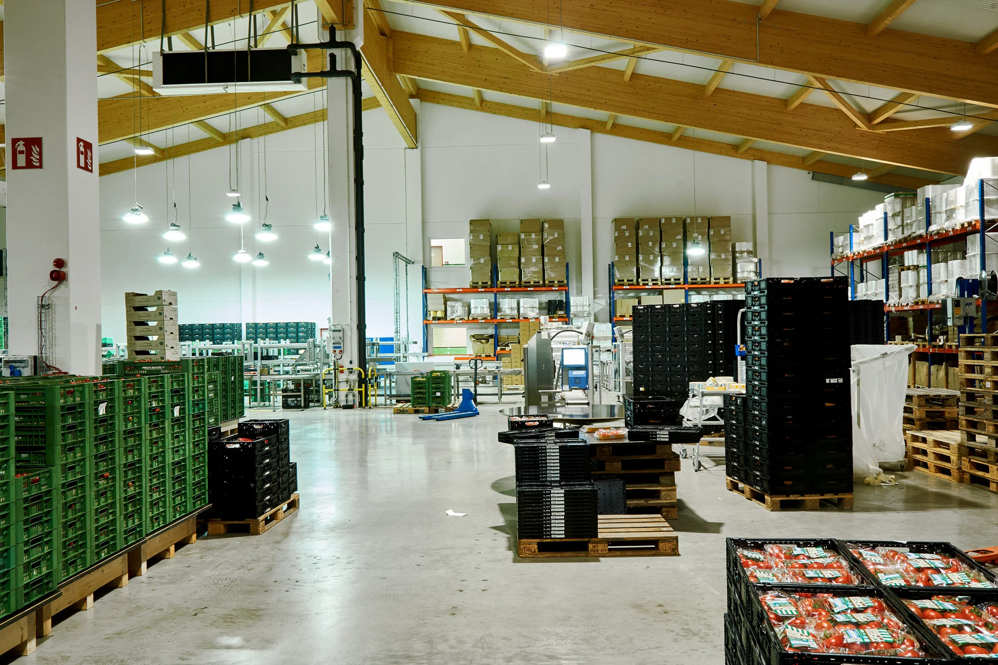 _DSC3670Malerei-Aigner-Gemuesebau-Steiner.jpg