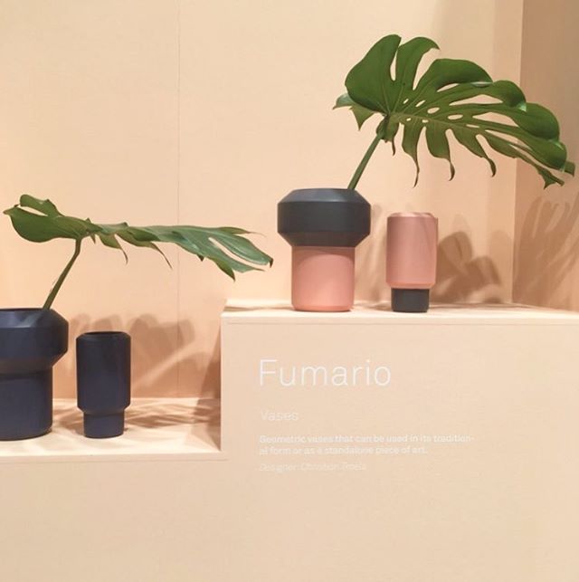 Seems like I've got a thing for vases and vessels at the moment. Plaster pink is giving me life right now! .
.
.
.
.
.
.
.
#colourpop #colourcombo #vessels #cheeseplant #pink