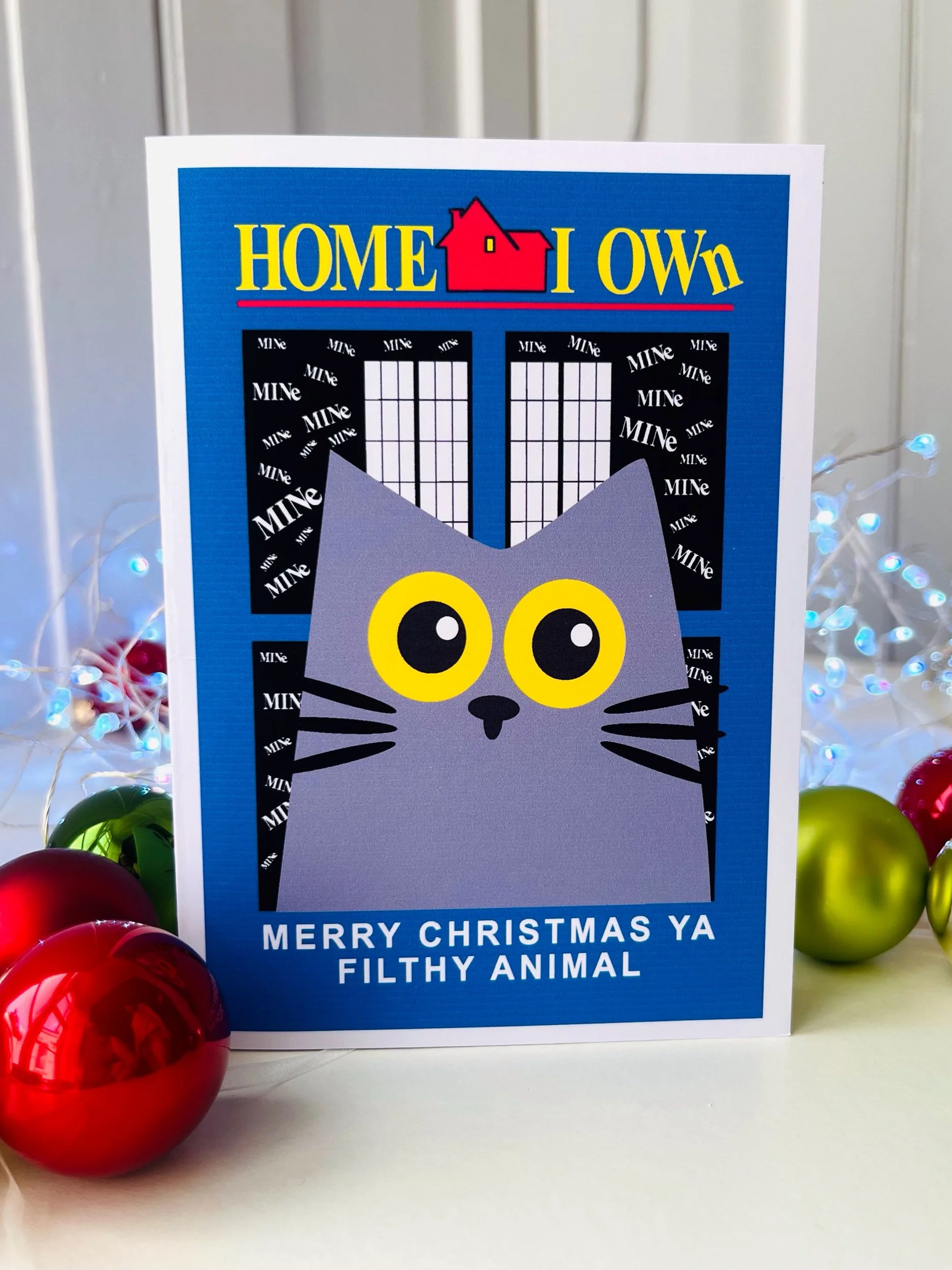home alone  (Copy)