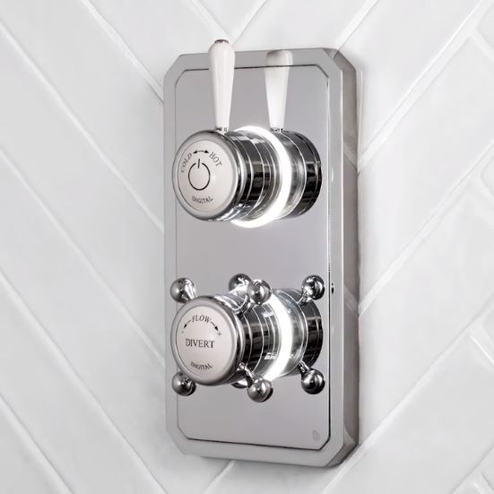 Digital Shower Valve.JPG