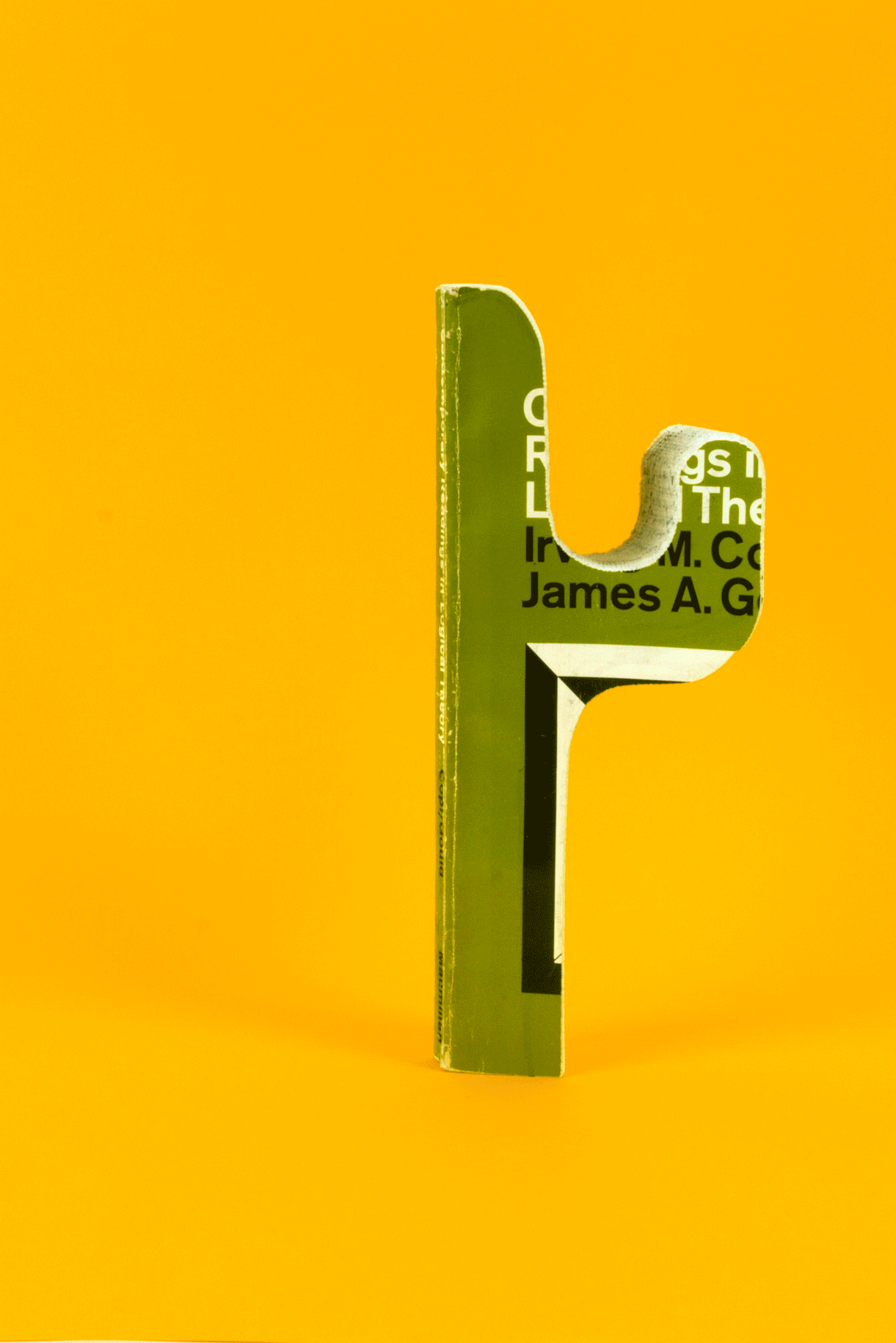 cactus1.gif