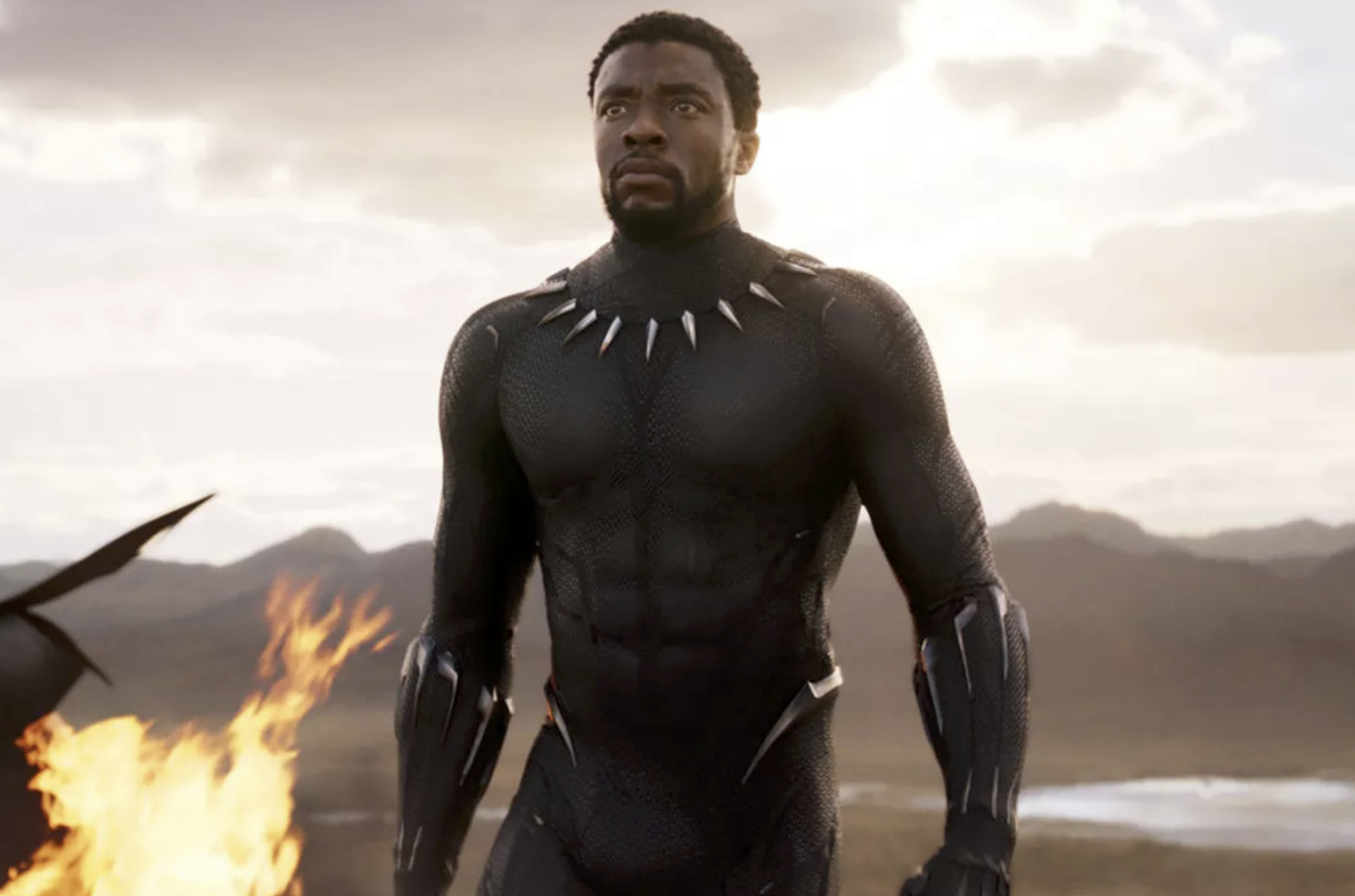 Chadwick Boseman in Black Panther (2018) - Marvel Entertainment