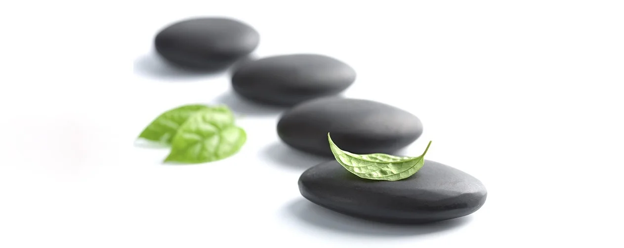 beautyWellnessIntroBanner.jpg