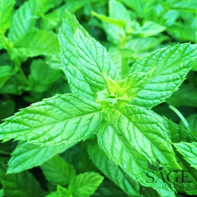 MINT (Bo He):
Known since ancient times as a healing herb. Its cooling properties dispel inner heat, remove toxins and relieve sore throats and colds. It also treats inflammation and pain. Mint is a soothing herb that helps nausea, vomiting, abdomina