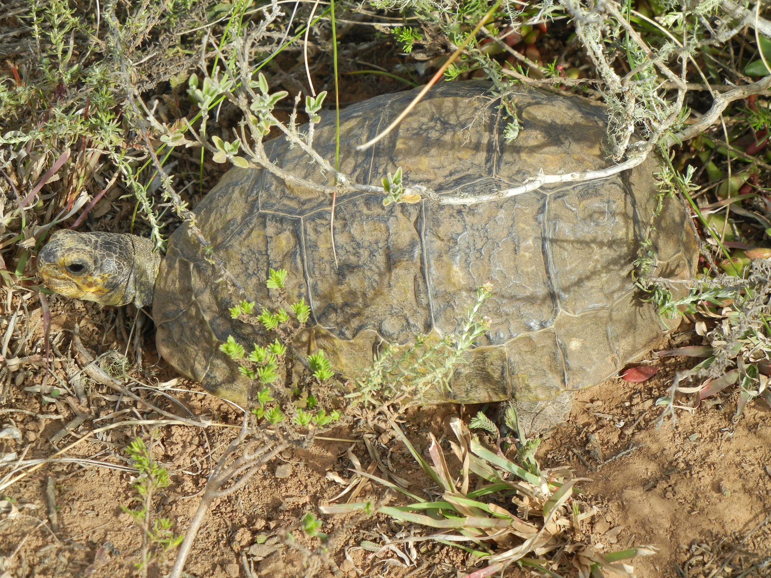 DSCN2180.JPG