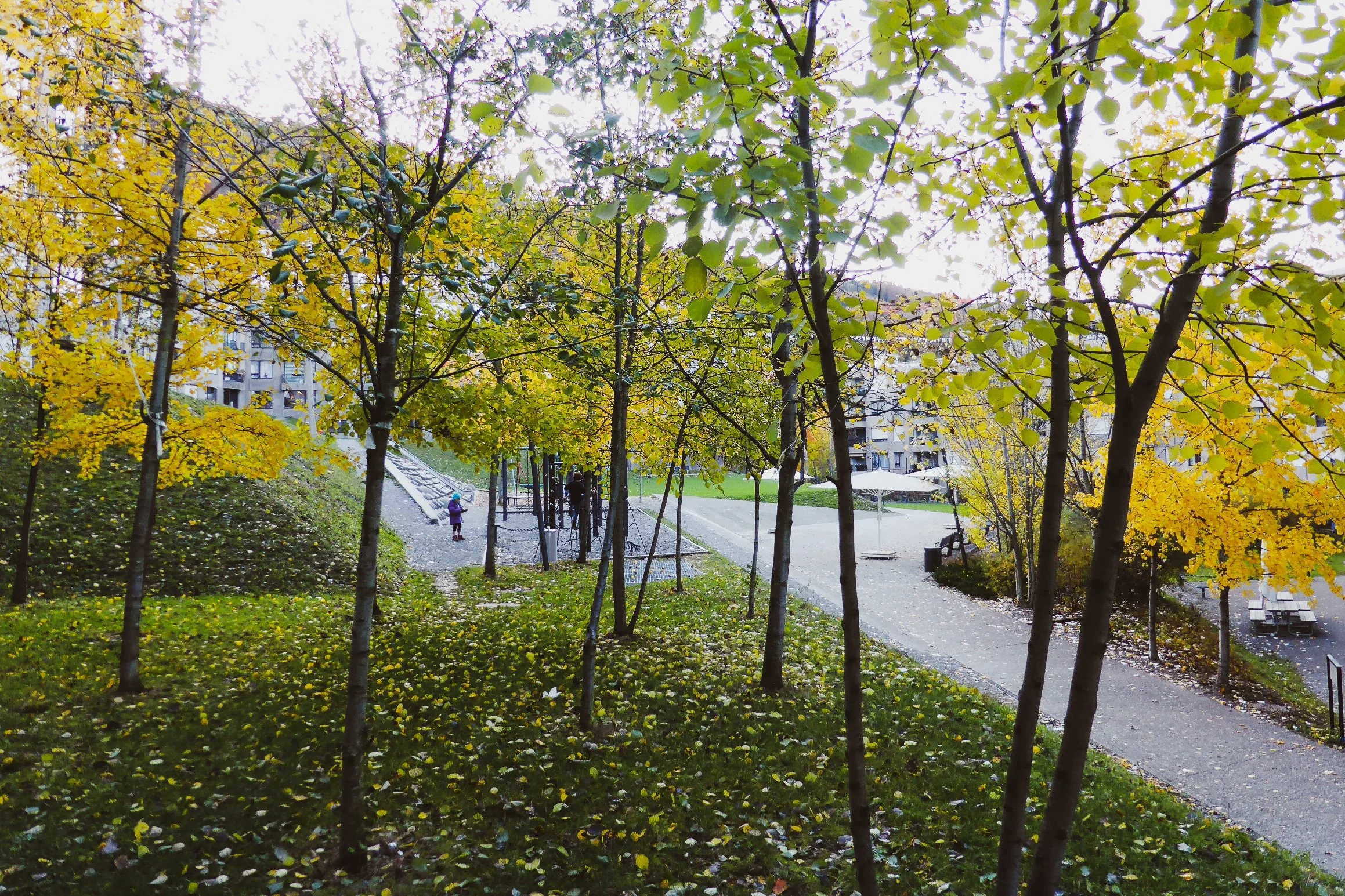 mavo_landschaften_7009_01.jpg