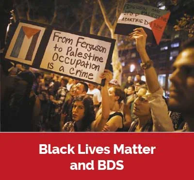 palestine-article2-ferguson.jpg
