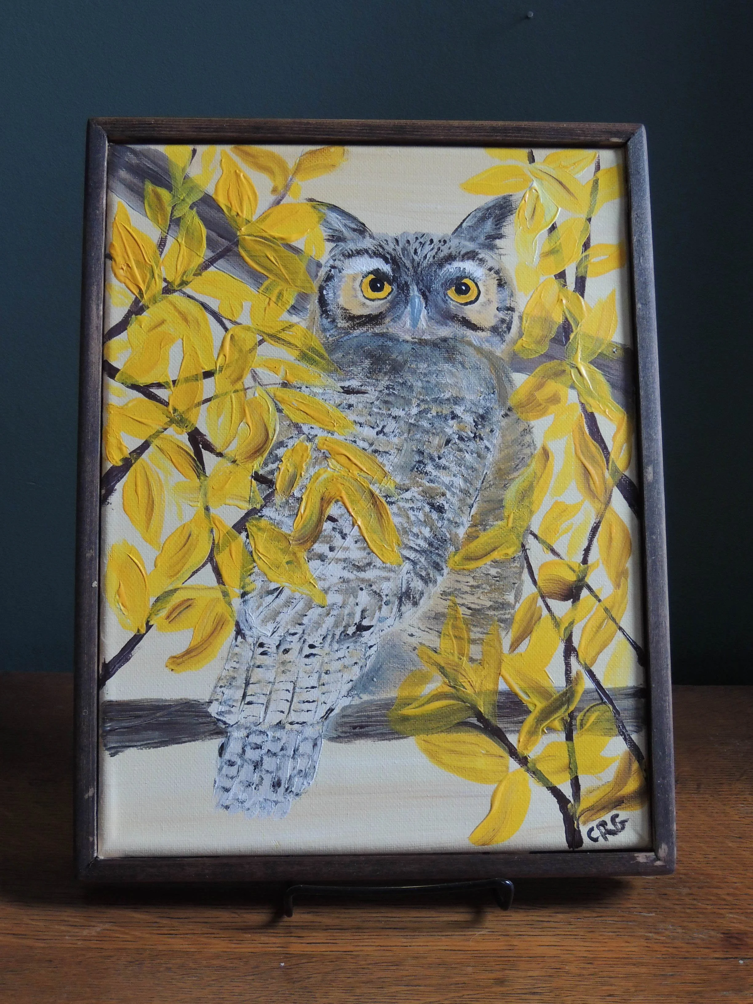 The Owl in the Cottonwood