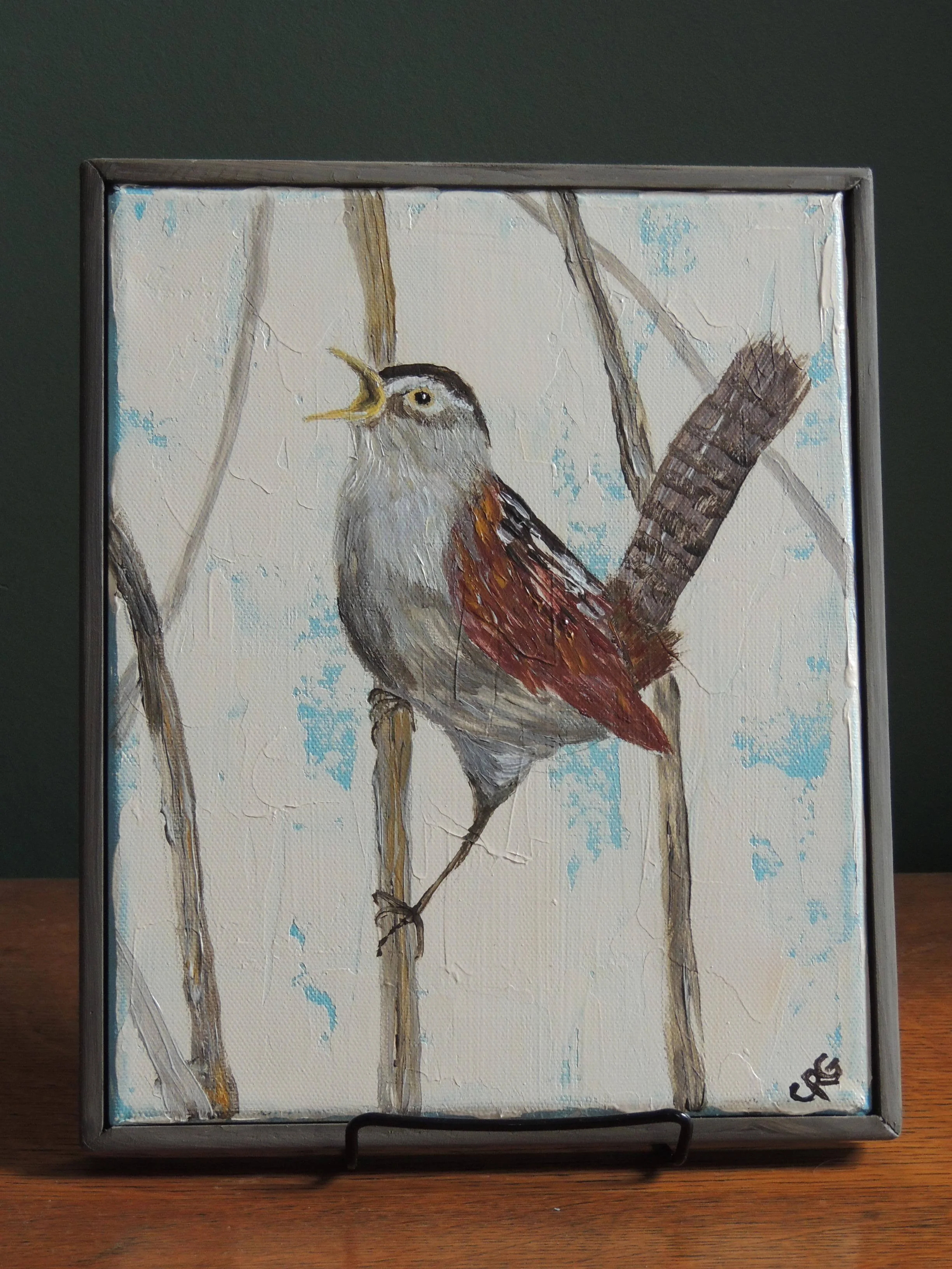 Marsh Wren in Spring