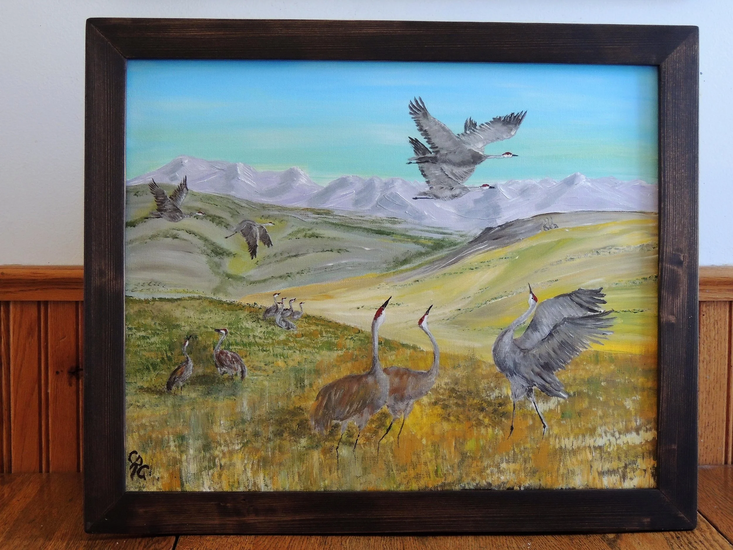 Sandhill Cranes in the Valley 