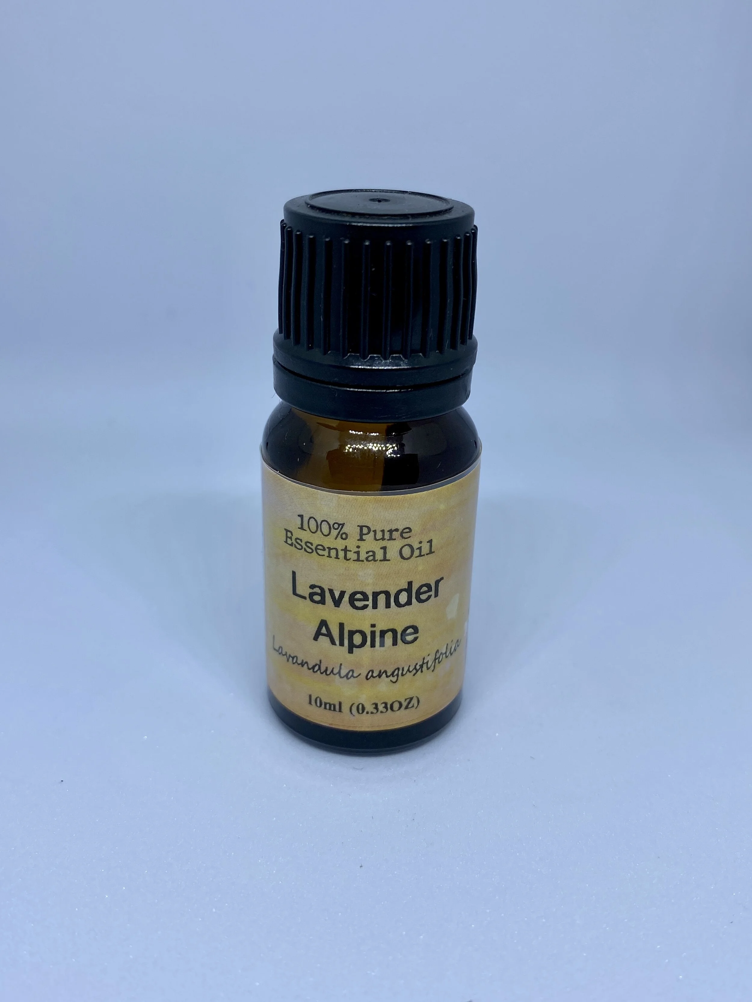 Lavender Alpine.jpg