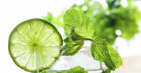 mojito mint 3.jpg