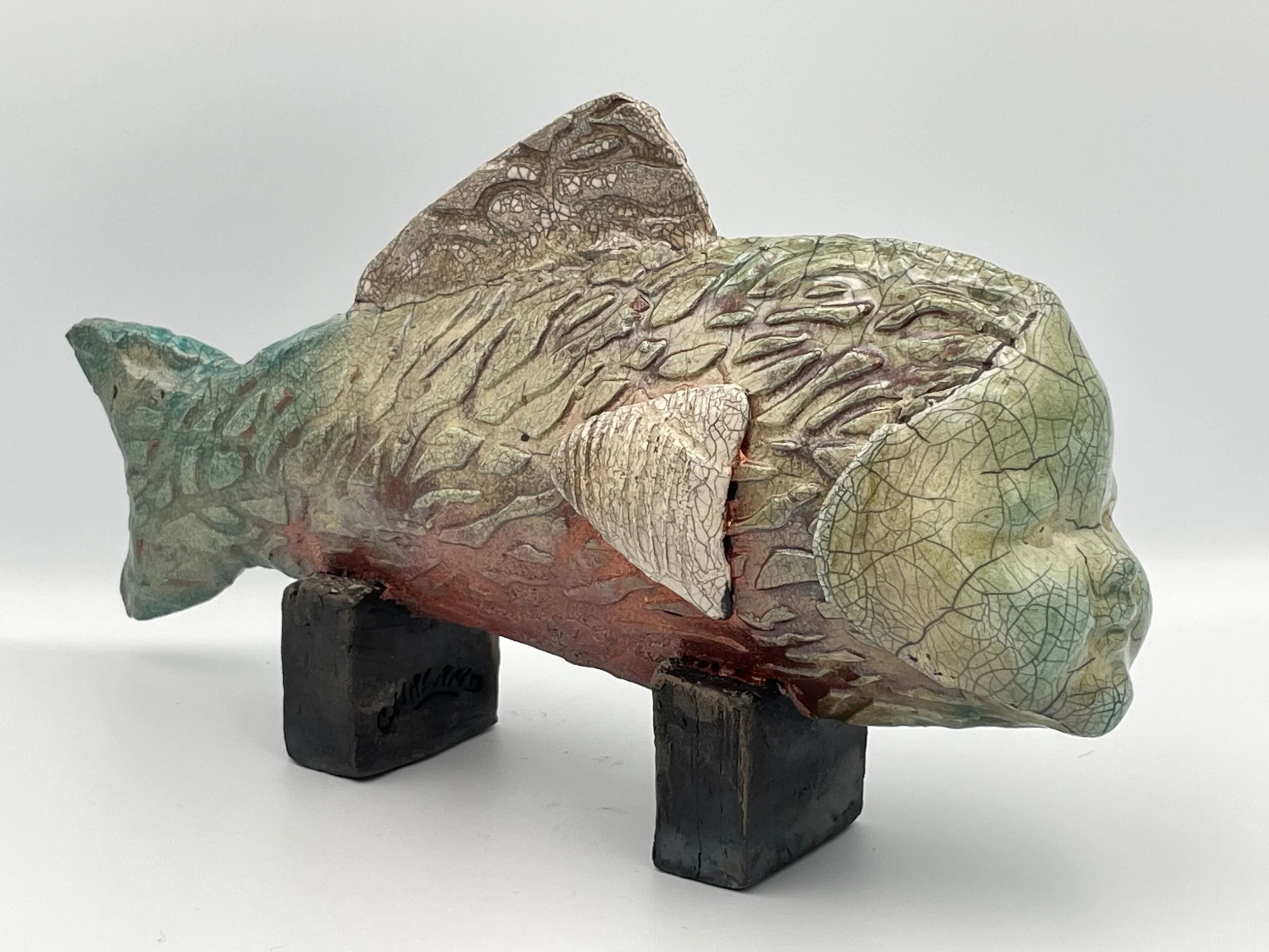 6hameraquababy - Alan Hamer.jpeg