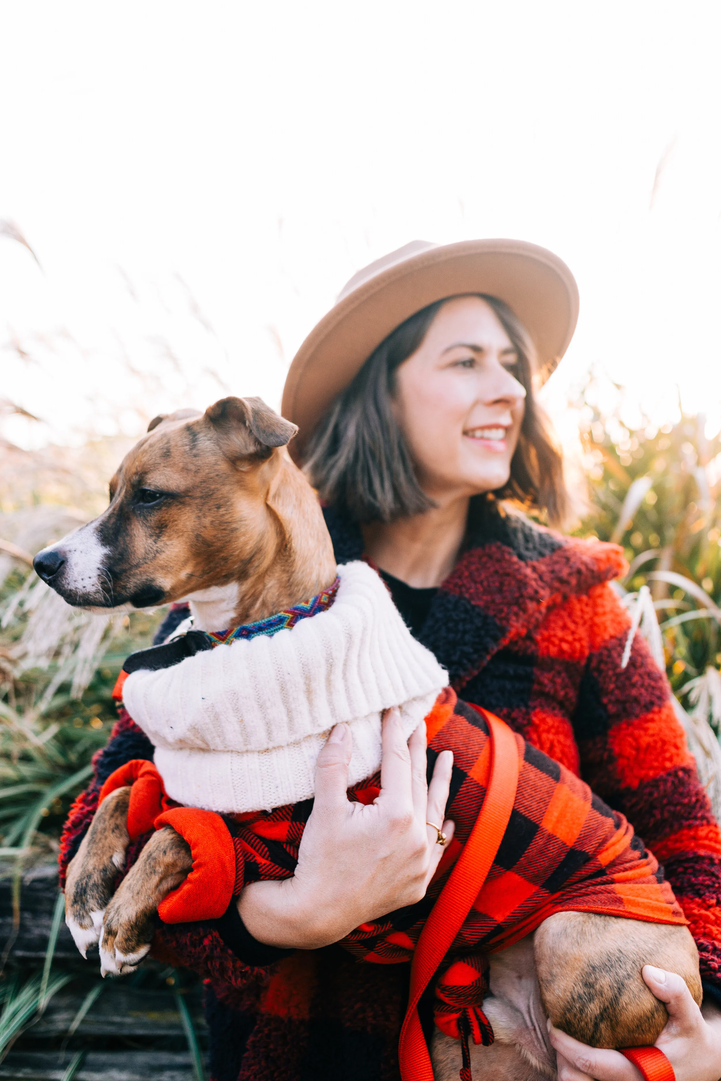 This is the Holiday photo shoot I recently had with my dog, Churro, for our Holiday card this year.