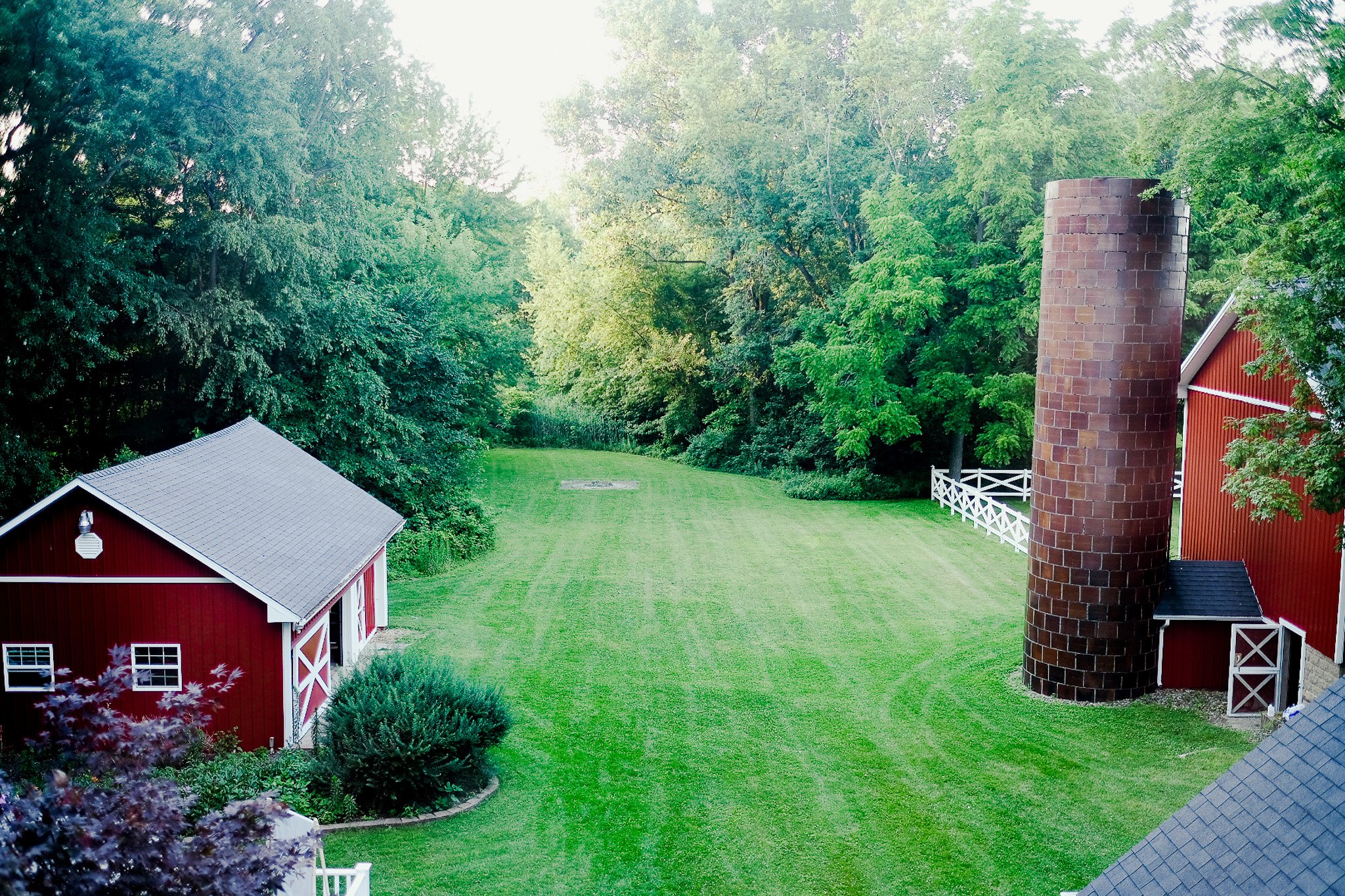1D00CD52-7581-4206-B910-D0DC6640D747-4516-00000314C4FAD8D9.jpg
