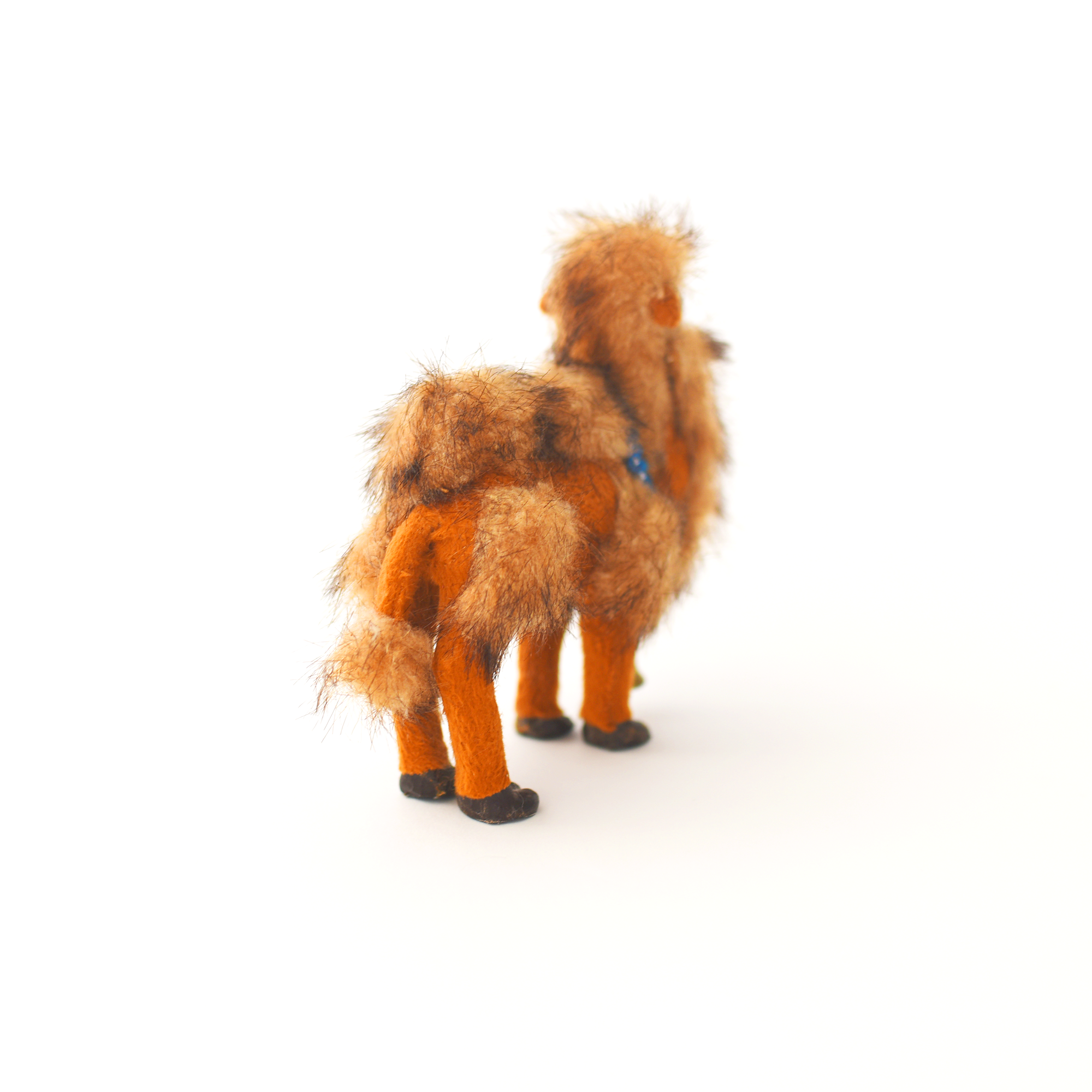 Camel_2.png