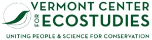 VCE logo.jpeg