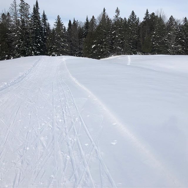 When the climate and the calendar don&rsquo;t quite match up, you might be in #craftsbury. No better place to experience cognitive dissonance than @craftsburyoutdoorcenter