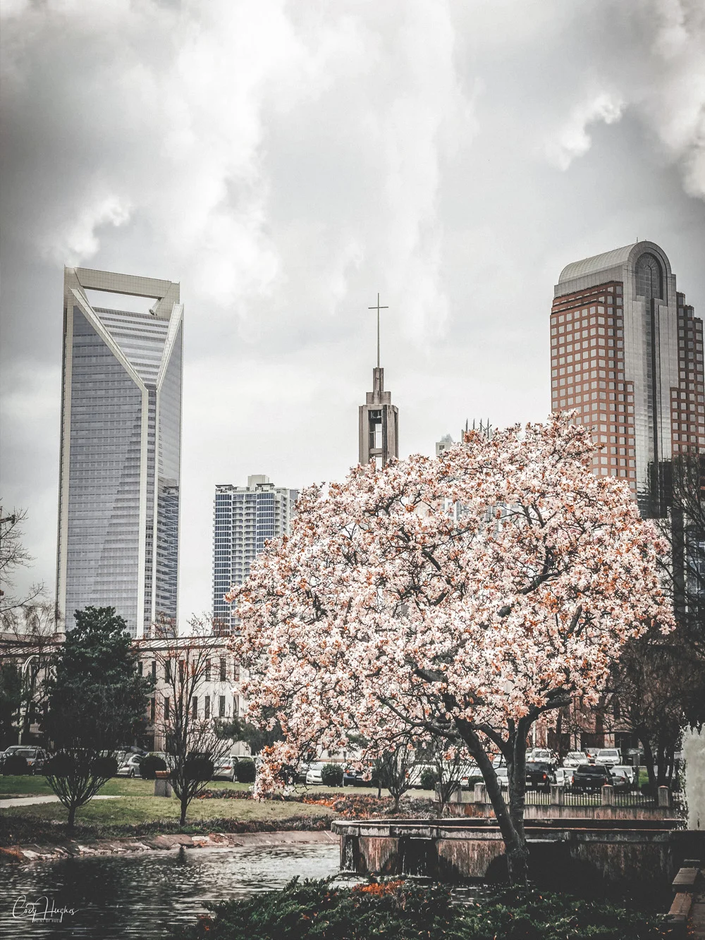 springpic.jpg