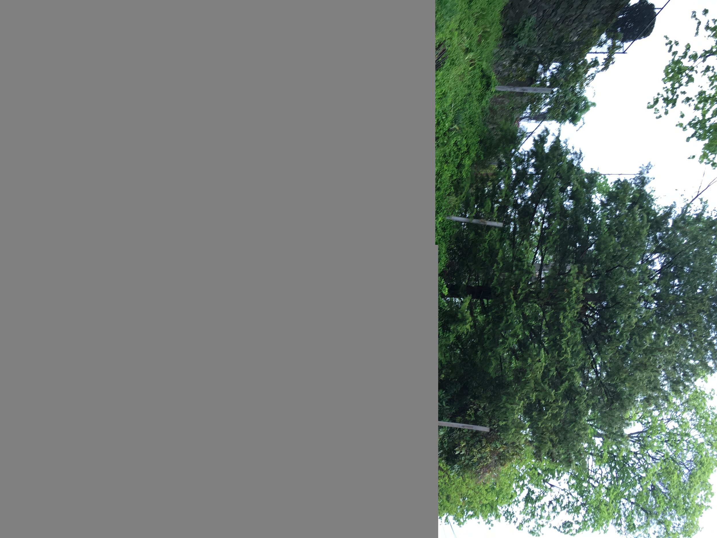 File_005-e1462818137238.jpeg