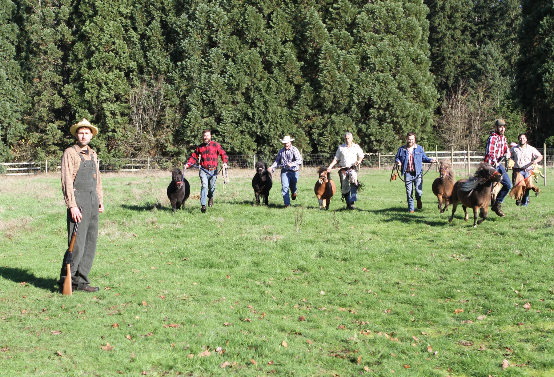 Mini-Horse.jpg