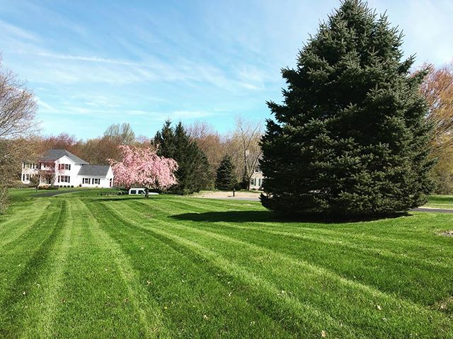 First mows of the season! Mowing crew off to a great start this season 🍃🍃
.
.
.
#spring #mowing #growing #contractor #teamwork #toro #stihl #echo #linework #healthy
