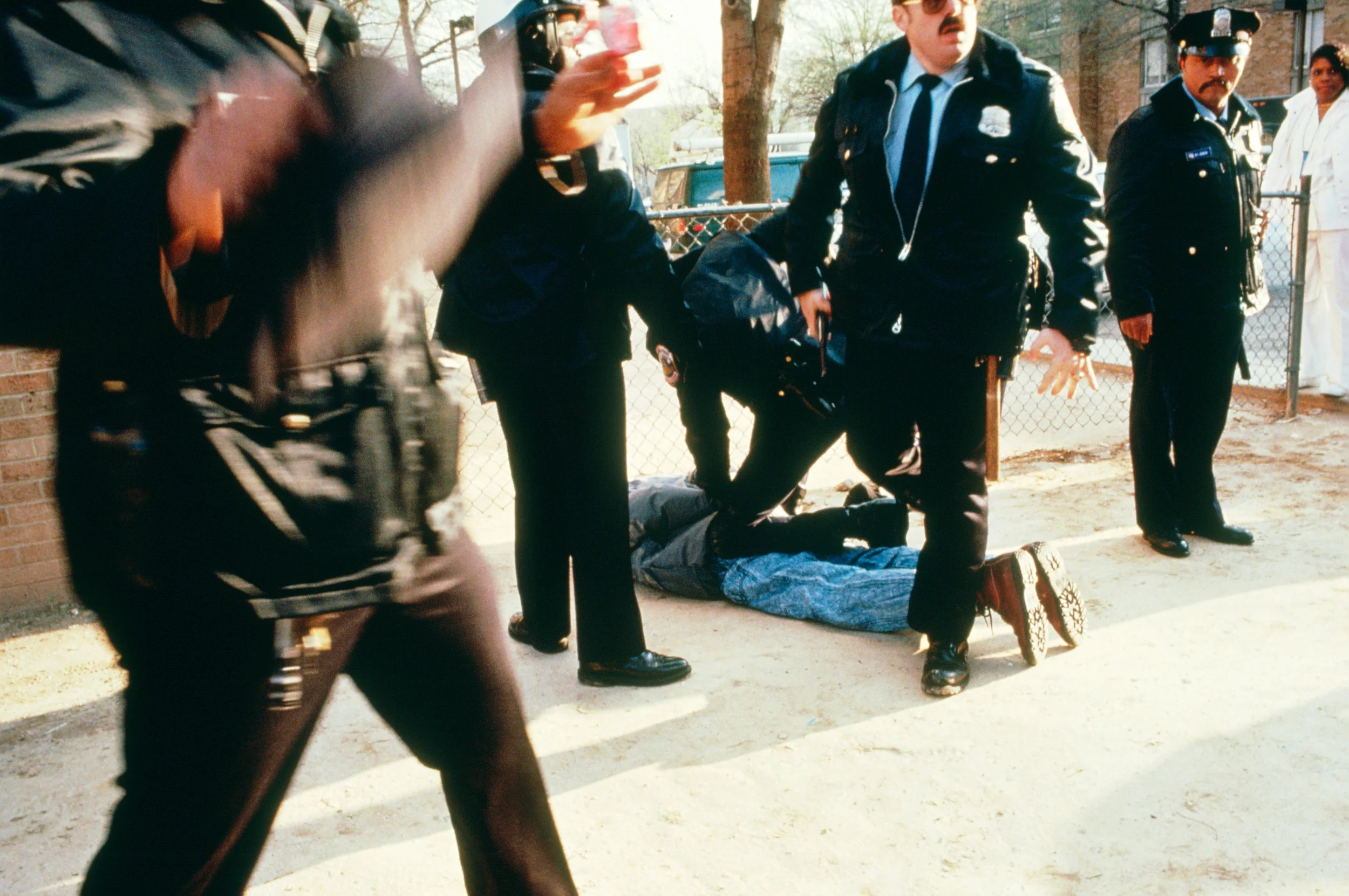 DC crime popsicle .jpg