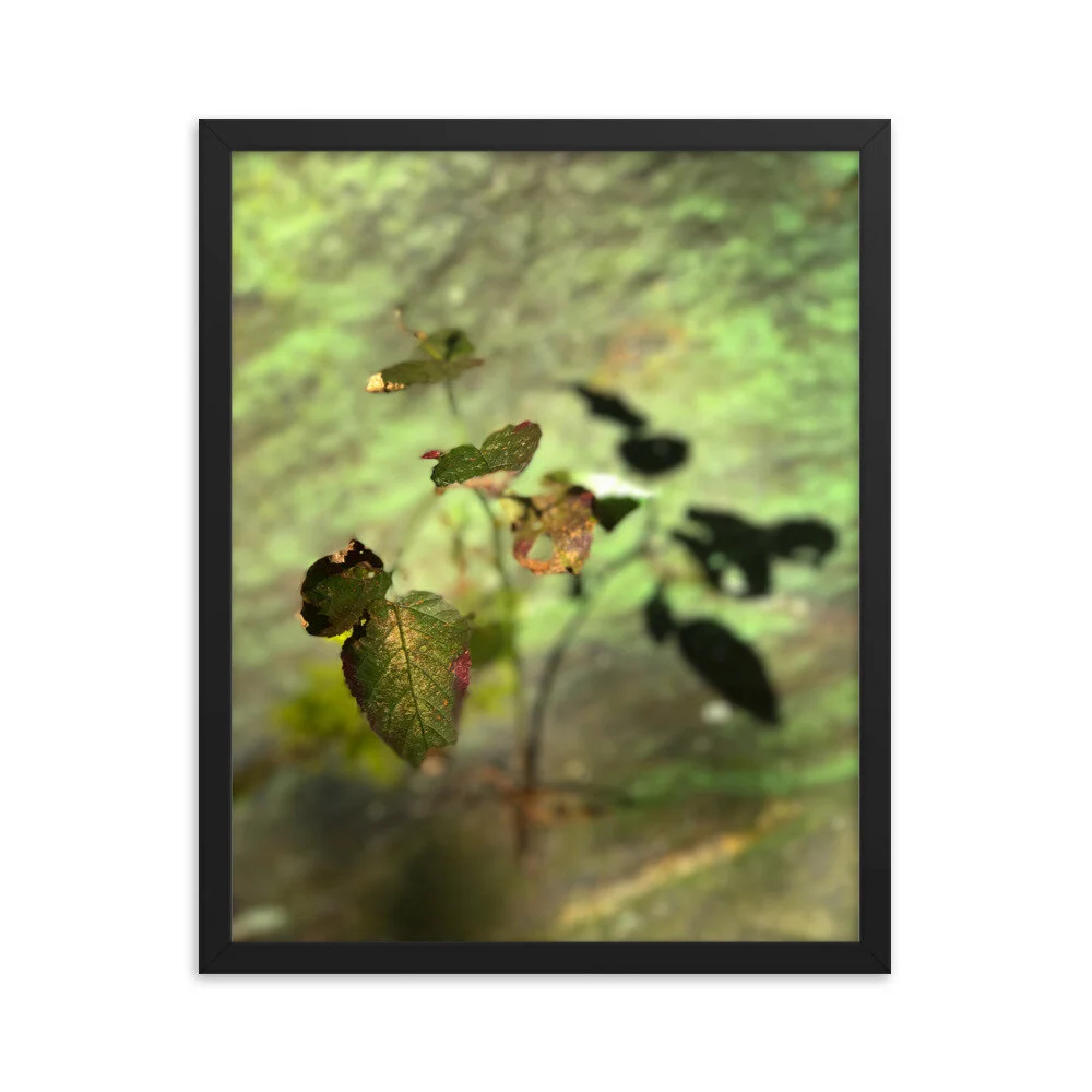 enhanced-matte-paper-framed-poster-(in)-black-16x20-transparent-6111d400069a0.jpg